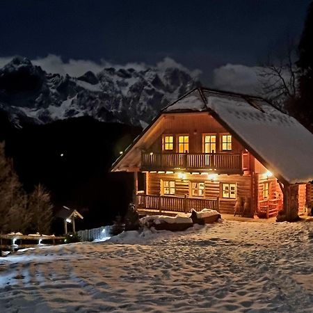 Holiday Chalet "Alpine Dreams" With Private Wellness Solčava エクステリア 写真