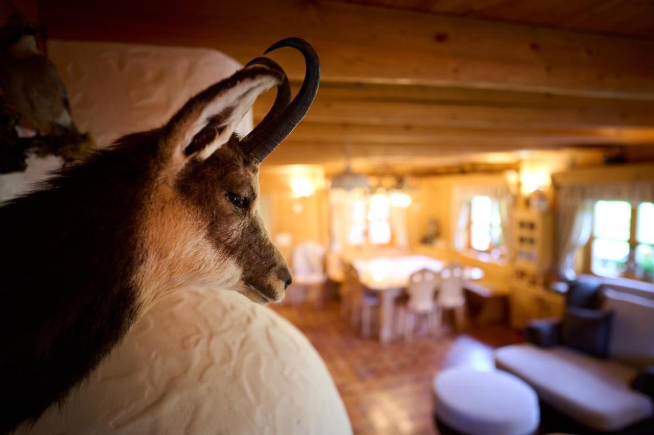 Holiday Chalet "Alpine Dreams" With Private Wellness Solčava エクステリア 写真