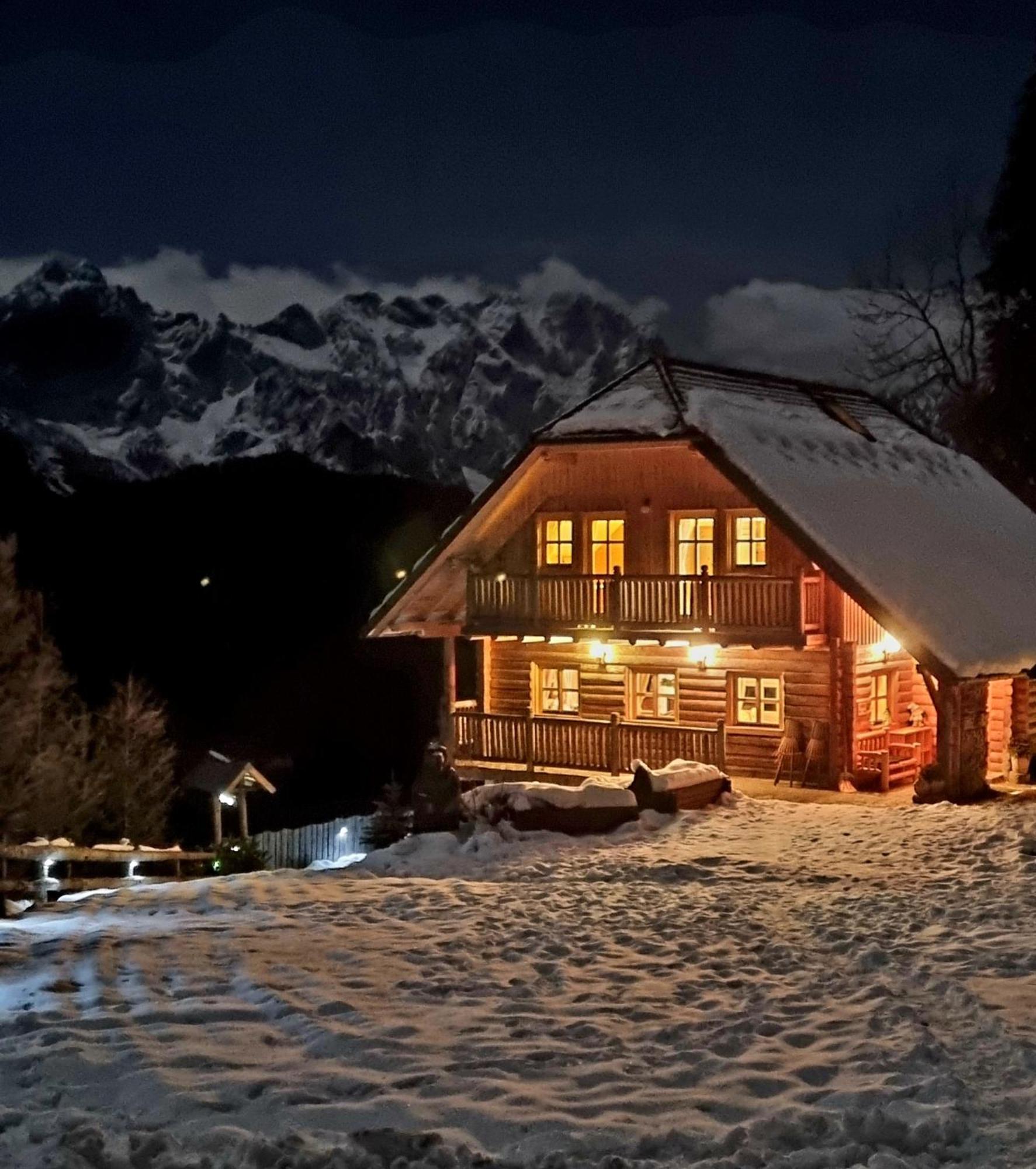 Holiday Chalet "Alpine Dreams" With Private Wellness Solčava エクステリア 写真