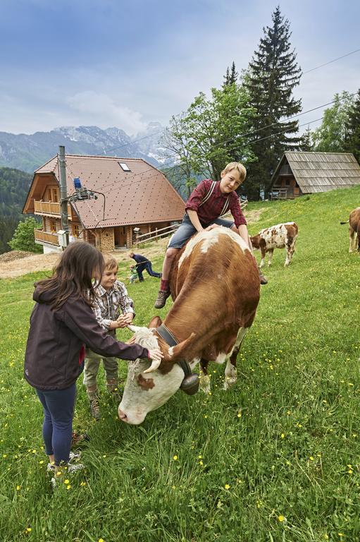 Holiday Chalet "Alpine Dreams" With Private Wellness Solčava 部屋 写真
