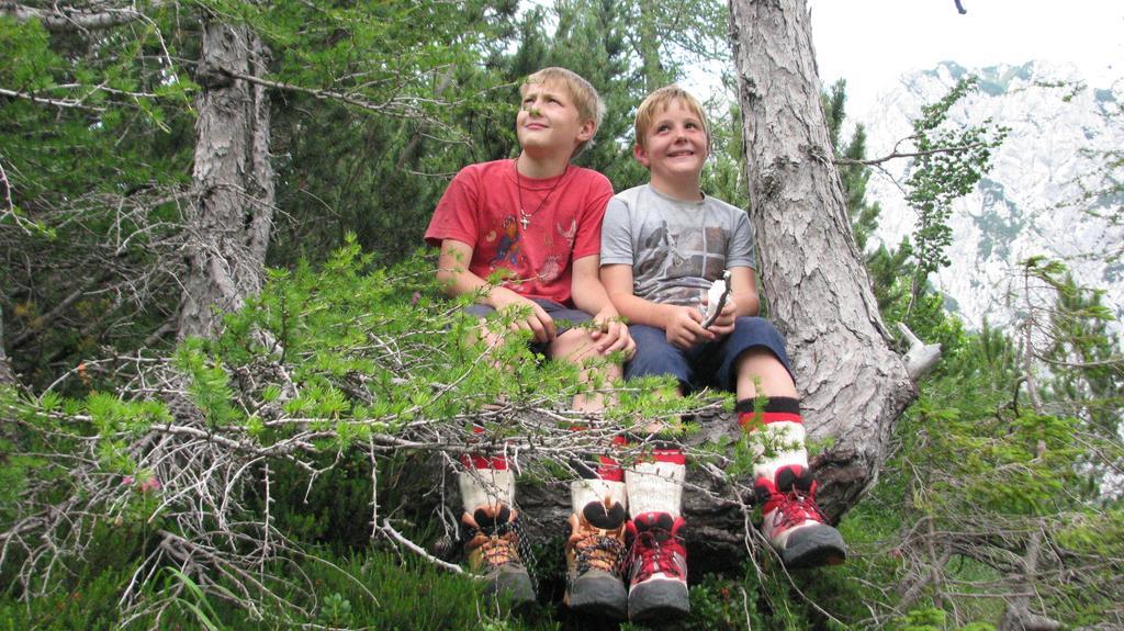 Holiday Chalet "Alpine Dreams" With Private Wellness Solčava エクステリア 写真