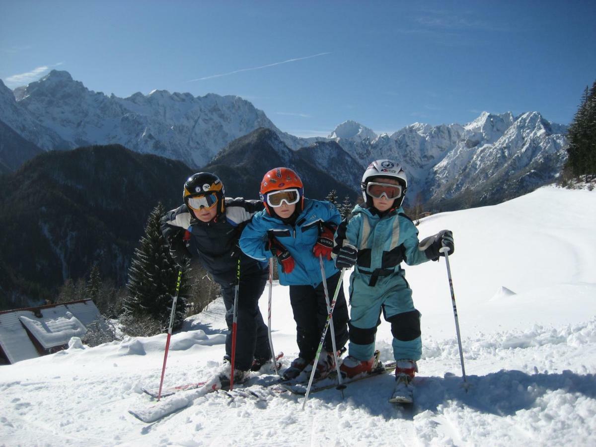 Holiday Chalet "Alpine Dreams" With Private Wellness Solčava エクステリア 写真